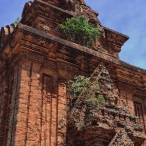 Temples Chăm : Bánh Ít / Tháp Bình Lâm / Mỹ Sơn 🇻🇳 #vietnam